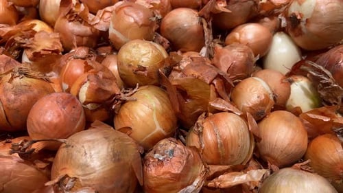 Onion Bulbs Pack, Slider Shot