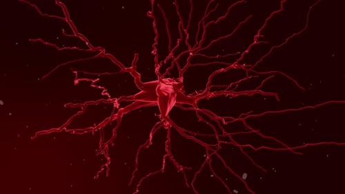 Fluid Red Neuron Network Growth Animation