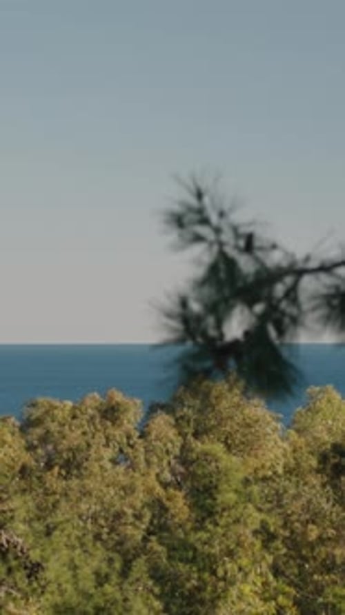 Vertical video. Panorama of the sea and a city on a cliff from a high vantage point, with treetops a