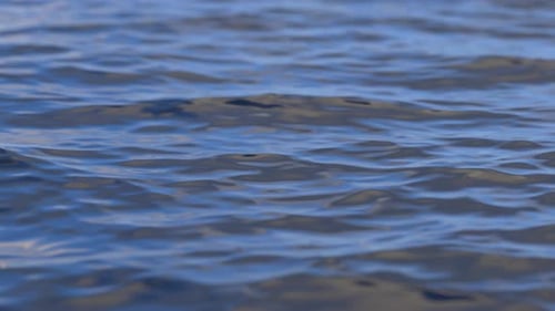 Gentle Waves on Blue Water Surface