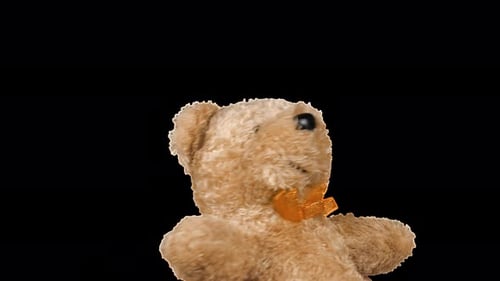 Stuffed and fluffy teddy toy brown bear playing and dancing. Alpha channel included.