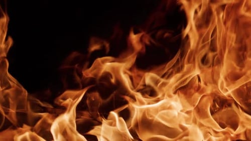 Feuer, Flammen mit organischer Bewegung, Feuer, brennendes, intensives Infernofeuer, glühendes, Dramatisch Lichtfeuer