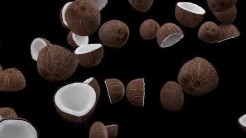 Floating Coconuts on Black Background