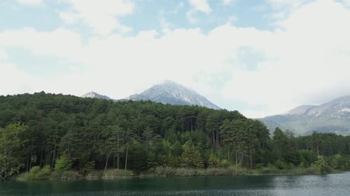 Imágenes aéreas sobre el lago en las montañas, paisaje verde y soleado