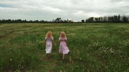 Two Young Blonde Women in Light Summer Dresses Holding Hands and Walking on the Field of Daises