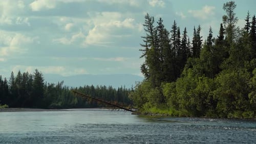 Green Forest on a Mountain River Against the Background of Clouds