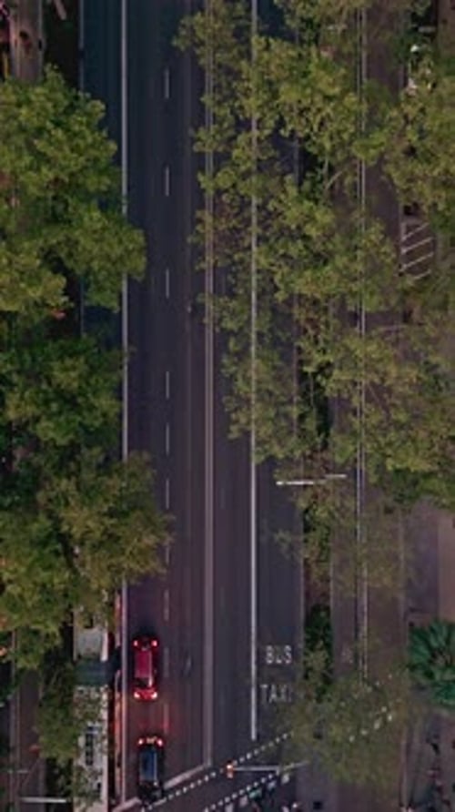 Aerial Top Down View of City Traffic in Barcelona Street