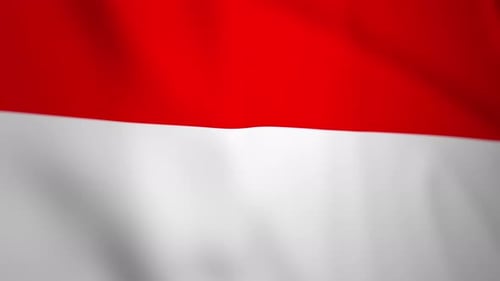 Red and White Flag Waving Seamless Loop Background Animation