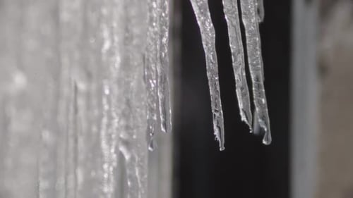 Icicles Melting And Rapidly Dripping Water - Closeup Shot