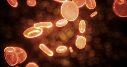 Animated Red Blood Cells Flowing In Bloodstream