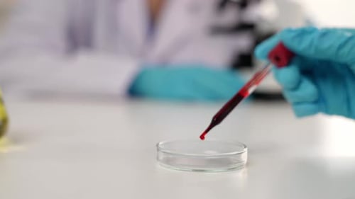 Blood Sample Being Added to Petri Dish in Lab