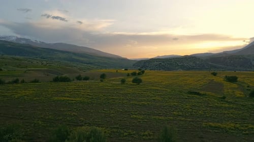 Aerial view large field with a beautiful sunset in the background