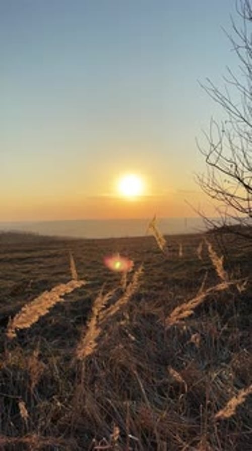 Golden Sunrise Over Tranquil Rural Field