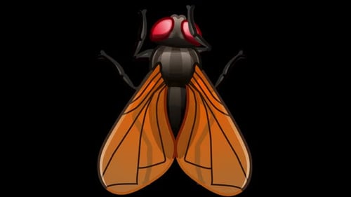 2D Cartoon Fly with Flapping Wings Animation
