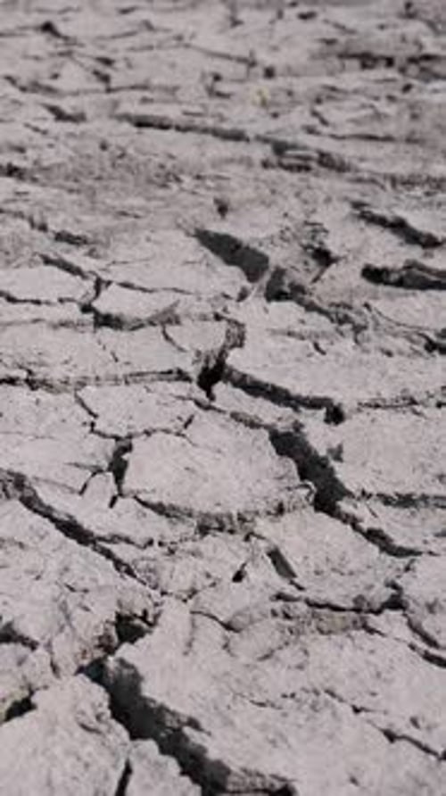Cracked Soil in Desert Environment