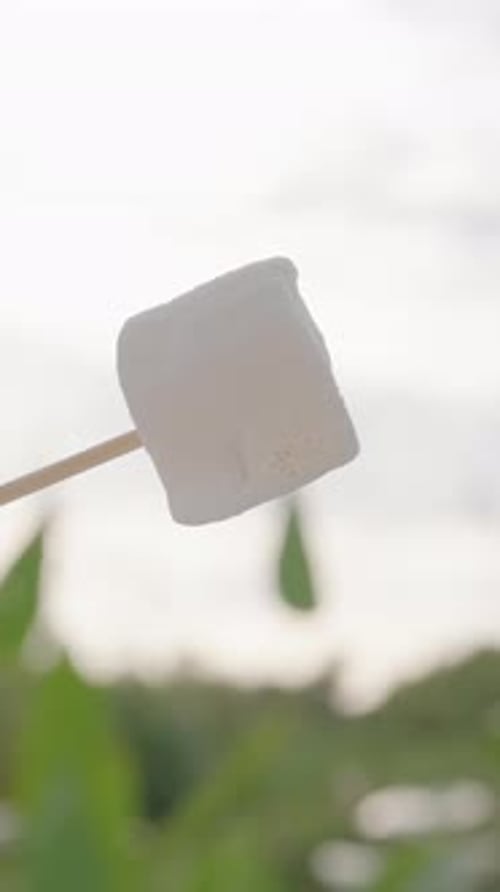Vertical video. Roasted Marshmallow on Stick with Burnt Surface Against Bright Sky and Green Leaves,