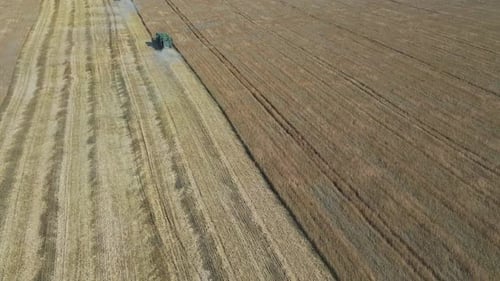 Different Agriculture Machines Harvesting Grain in Wheat Field Drone Point of View.