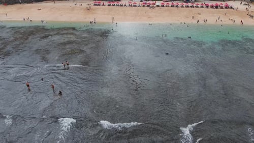 Top Aerial View on Sandy Ocean Shore with Resting Tourists and Beach Umbrellas Turquoise Water in