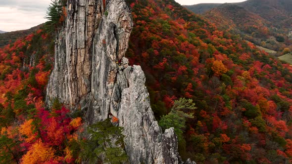 Climbers scaling cliff in Seneca Rocks West Virginia during peak fall ...