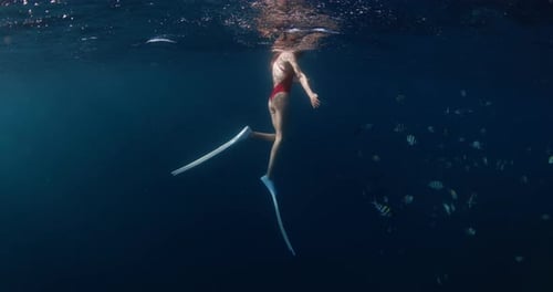 Freediver Woman Swimming with Tropical Fish in Blue Ocean