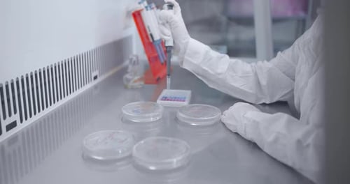 Biologist Working In Laboratory Closeup View Of Woman Scientist Hands And Took For Examining Virus