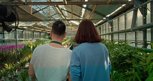 Rear View of a Confident Male Assistant Walking Through the Greenhouse with a Brunette Girl and