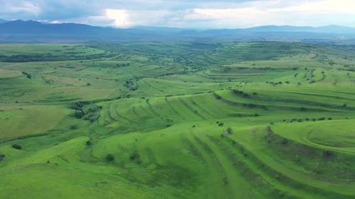 High Angle Aerial Above View of Green Meadow in the Spring, Countryside Hills