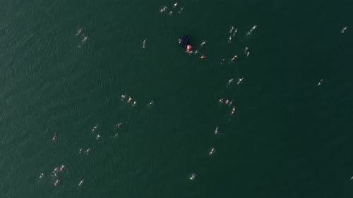 Large group of Swimmers crossing the Sea of Galilee, Aerial view