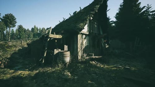 Abandoned Wooden Hut in a Forest Environment Animation