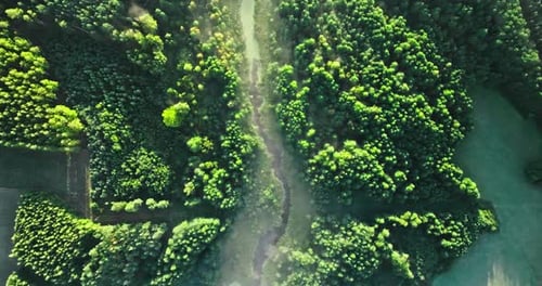 Aerial view of foggy valley and river at sunrise.