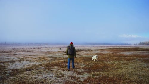 Enjoy a Serene Winter Walk in Nature Alongside your Dog in a Beautiful and Foggy Landscape All