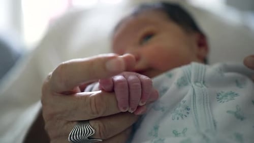 Newborn Baby Holding Adult's Finger in Comforting Embrace