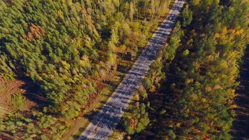 Luftautobahn im Wald. Luftaufnahme Leere Straße in Waldlandschaft.Luftlandschaft