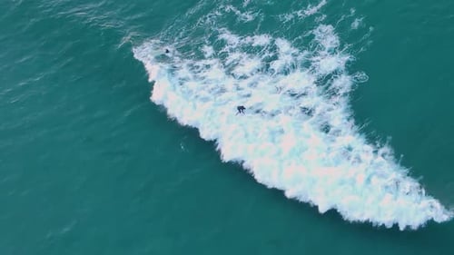 Stand Up Paddle Boarding Fitness. Warm Summer Beach Vacation