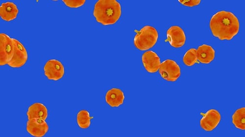 Animação 3D de chuva de abóbora | Falling Pumpkins Seamless Loop
