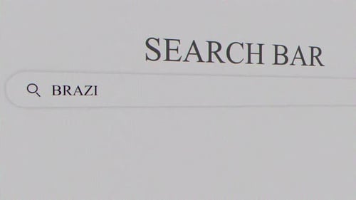 Brazil Search Bar