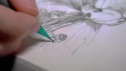 Person sketching with a green pencil on a white paper. Close up shot