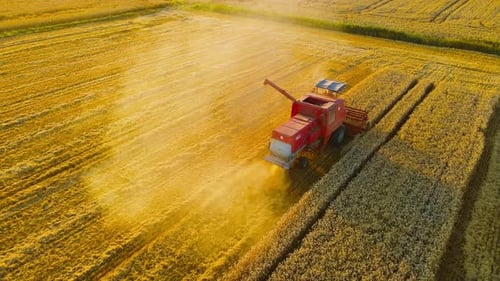 Combine in Agriculture Field at Amazing Evening