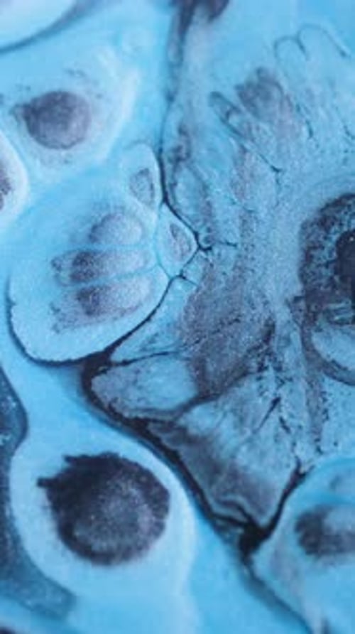 Blue Ink and Paint Abstract Background in Motion