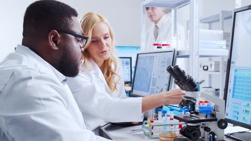 Scientists Working Together in Modern Laboratory