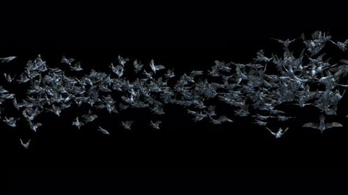 Abstract Crystalline Flock of Birds Flying Animation