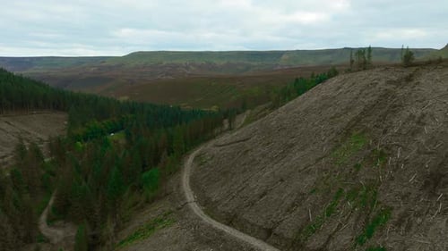 Logging Transforming Mountain Slope Into Barren Land Tree Removal Stripping Forest Leaving Desolate
