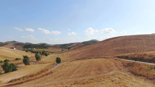 Vast yellow wheat field by the traffic road and hills at the back. Aerial drone footage