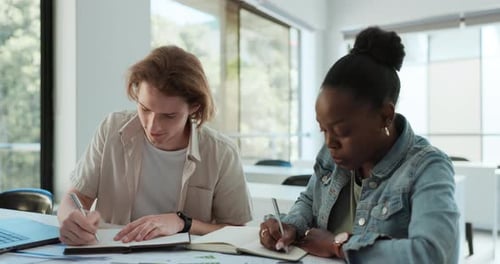 Young Adults Working Together at Office Desk