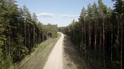 Quick aerial dolly along sandy dirt road between pine tree forest under blue sky