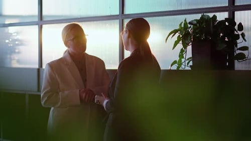 Up to Date Businesswomen in Business Clothes Stand Near Large Windows in the Office and Communicate