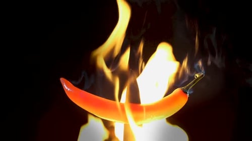 Burning Red Chili Pepper on Knife