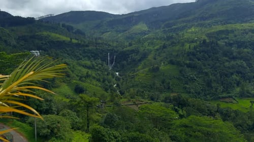 Scenic View of Tropical Mountain Valley Action Green Rainforests with Mountains and Rivers Beautiful