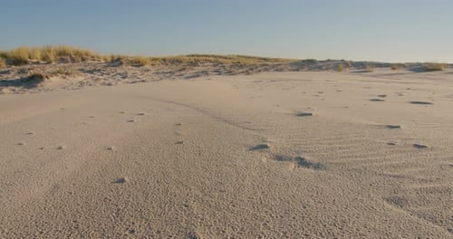 Offshore Sand Dunes At The Beach In Summertime. Close Up