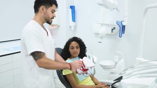Dentist Explains Tooth Model to Young Adult Patient